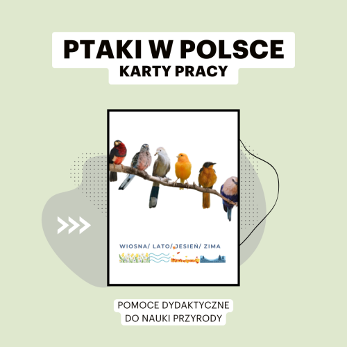 KM grafiki do sklepu.png